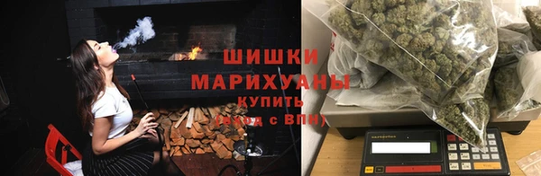 бошки Бронницы