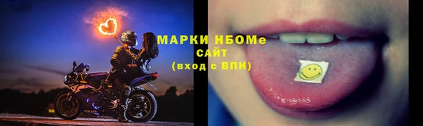 spice Бородино