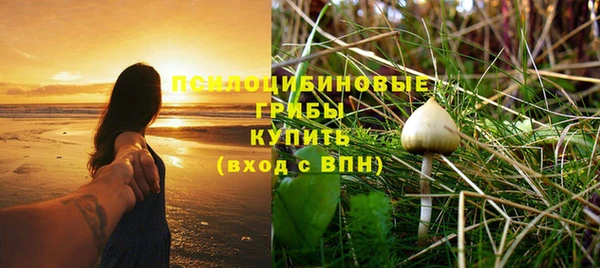 spice Бородино