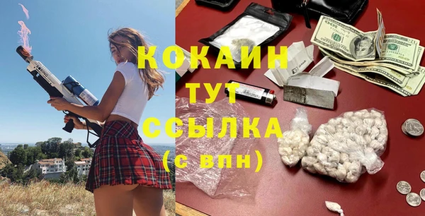 бошки Бронницы