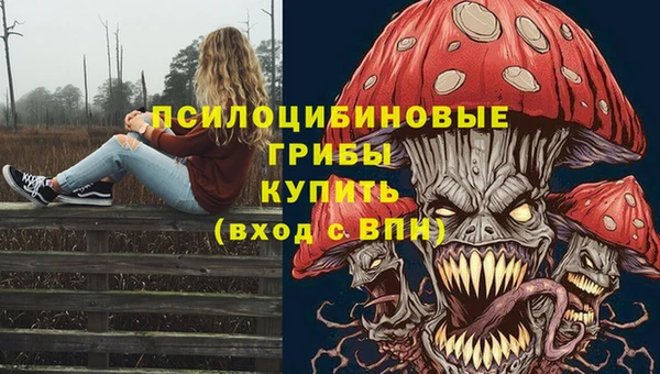 мдпв Бугульма