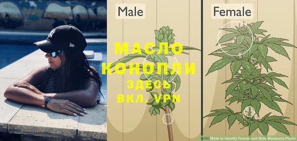 spice Бородино