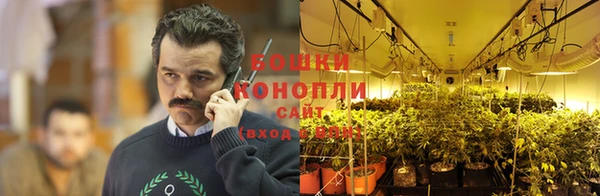 бошки Бронницы