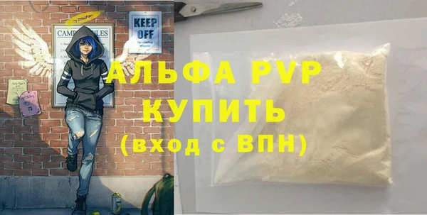 spice Бородино