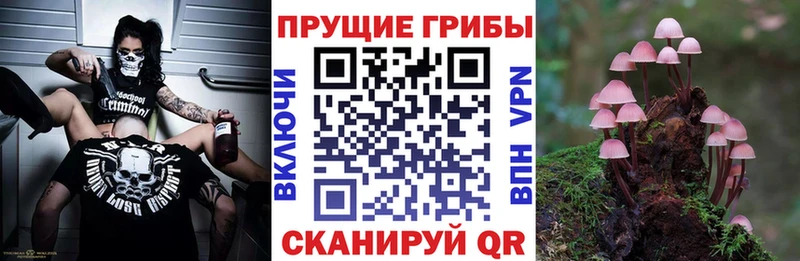 Псилоцибиновые грибы ЛСД  продажа наркотиков  Менделеевск 